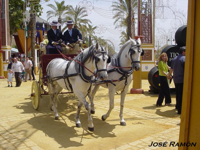 Foto de Jerez  de la Frontera (Cádiz), España