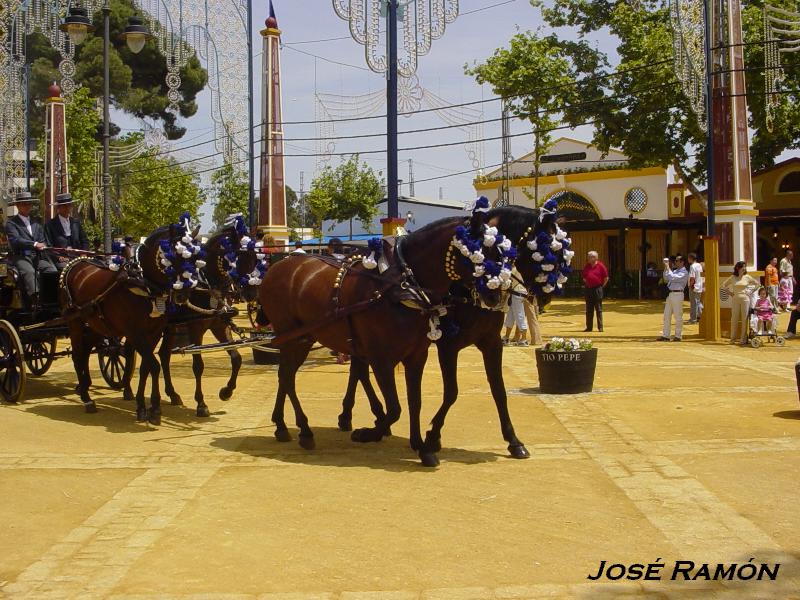 Foto de Jerez  de la Frontera (Cádiz), España