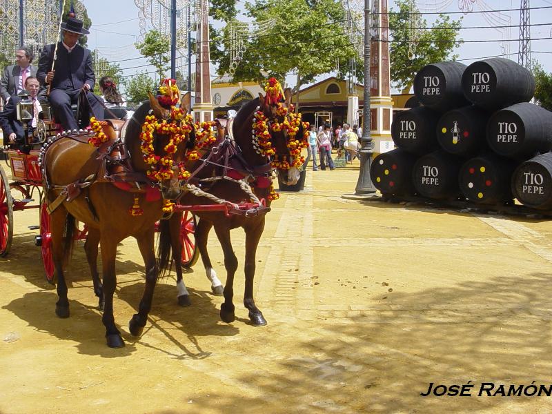 Foto de Jerez  de la Frontera (Cádiz), España