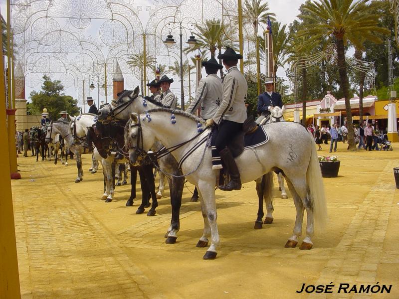 Foto de Jerez  de la Frontera (Cádiz), España