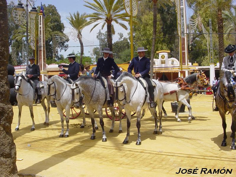 Foto de Jerez  de la Frontera (Cádiz), España