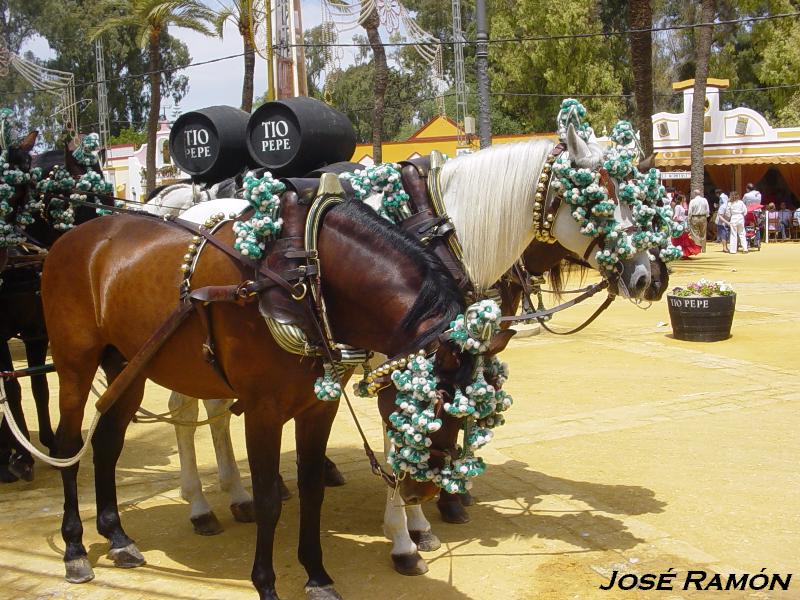 Foto de Jerez  de la Frontera (Cádiz), España