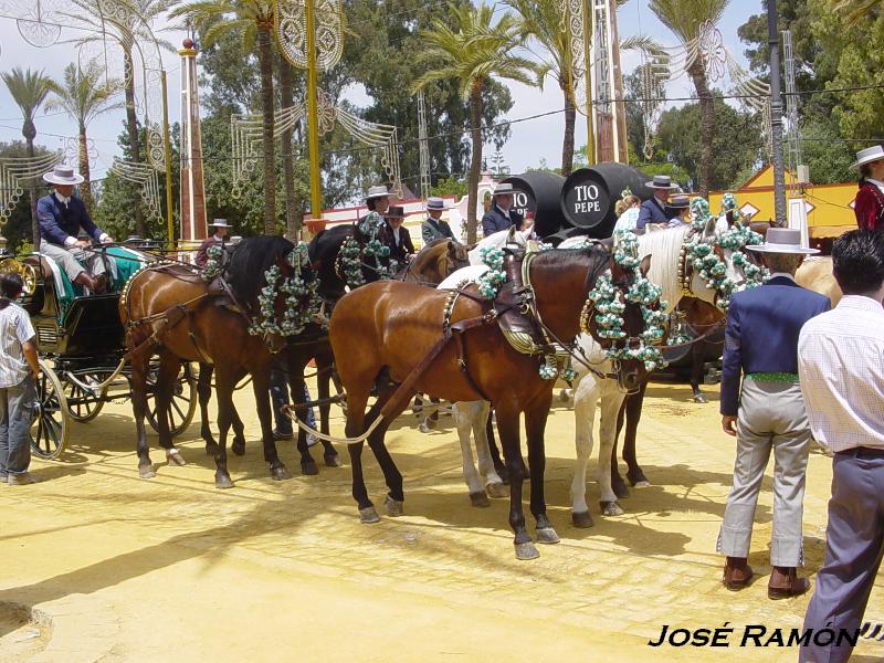 Foto de Jerez  de la Frontera (Cádiz), España