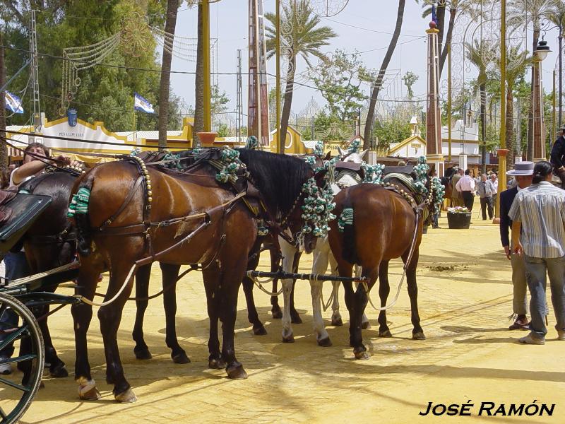 Foto de Jerez  de la Frontera (Cádiz), España