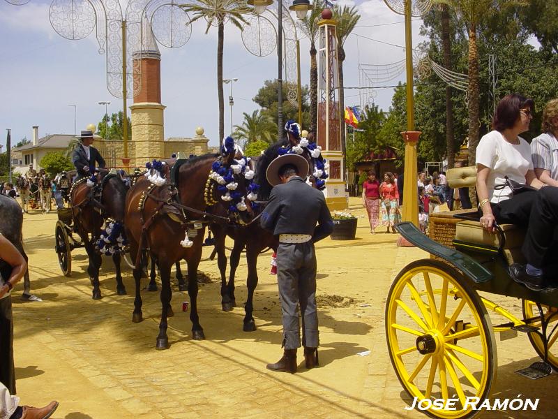 Foto de Jerez  de la Frontera (Cádiz), España