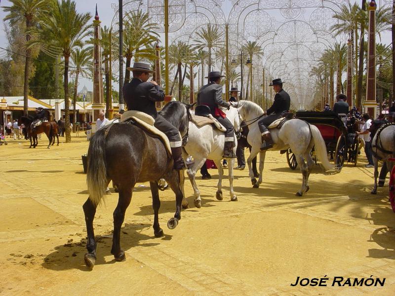 Foto de Jerez  de la Frontera (Cádiz), España