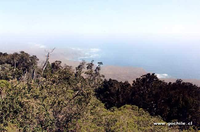 Foto de La Serena, Chile