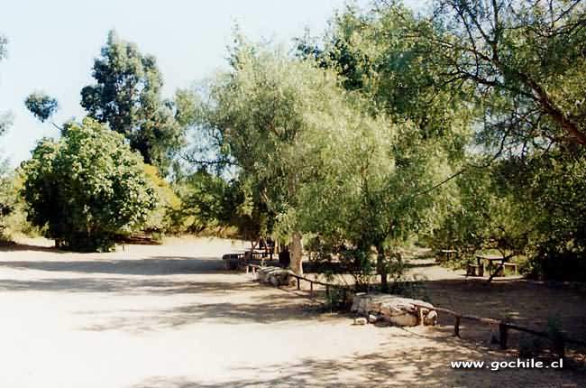 Foto de La Serena, Chile