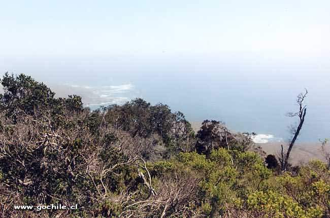 Foto de La Serena, Chile