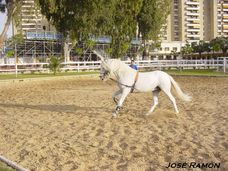 Foto de Jerez  de la Frontera (Cádiz), España