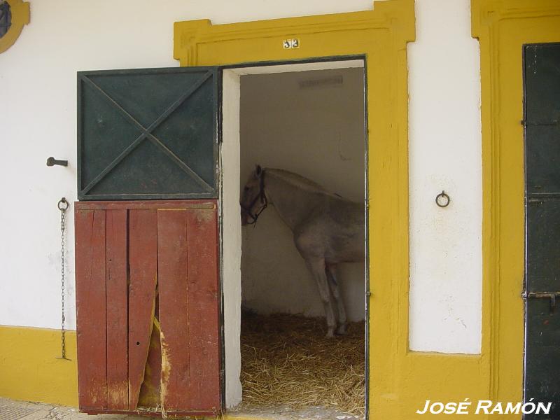 Foto de Jerez  de la Frontera (Cádiz), España