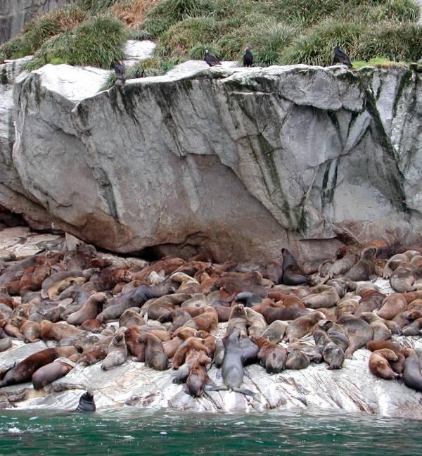 Foto de Huinay, Chile