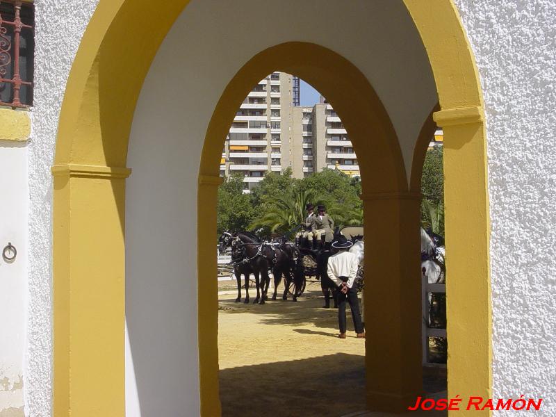 Foto de Jerez  de la Frontera (Cádiz), España