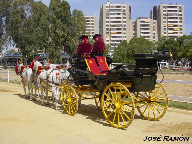 Foto de Jerez  de la Frontera (Cádiz), España