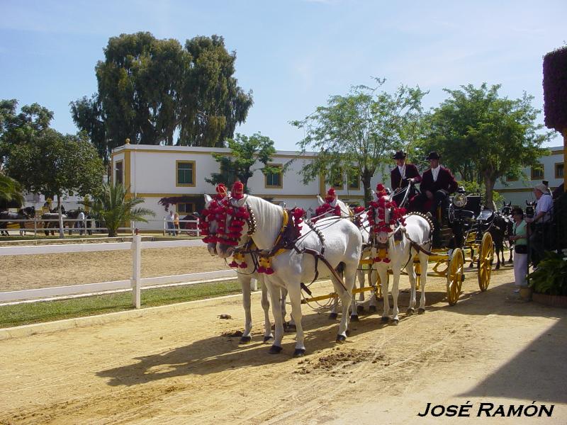 Foto de Jerez  de la Frontera (Cádiz), España