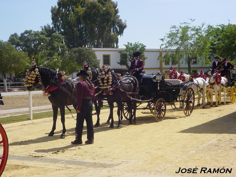 Foto de Jerez  de la Frontera (Cádiz), España