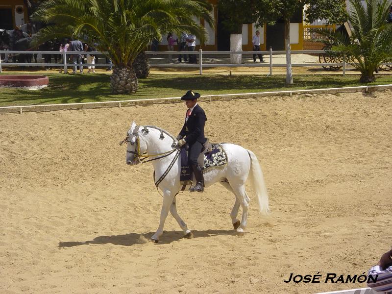 Foto de Jerez  de la Frontera (Cádiz), España