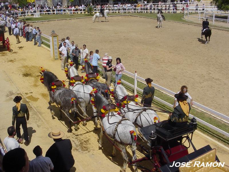 Foto de Jerez  de la Frontera (Cádiz), España