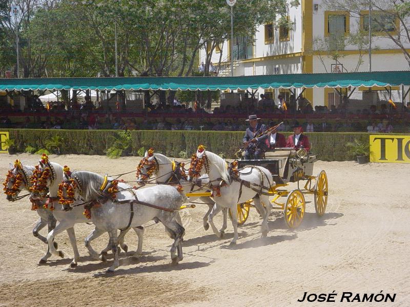 Foto de Jerez  de la Frontera (Cádiz), España