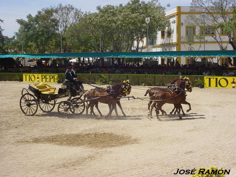 Foto de Jerez  de la Frontera (Cádiz), España