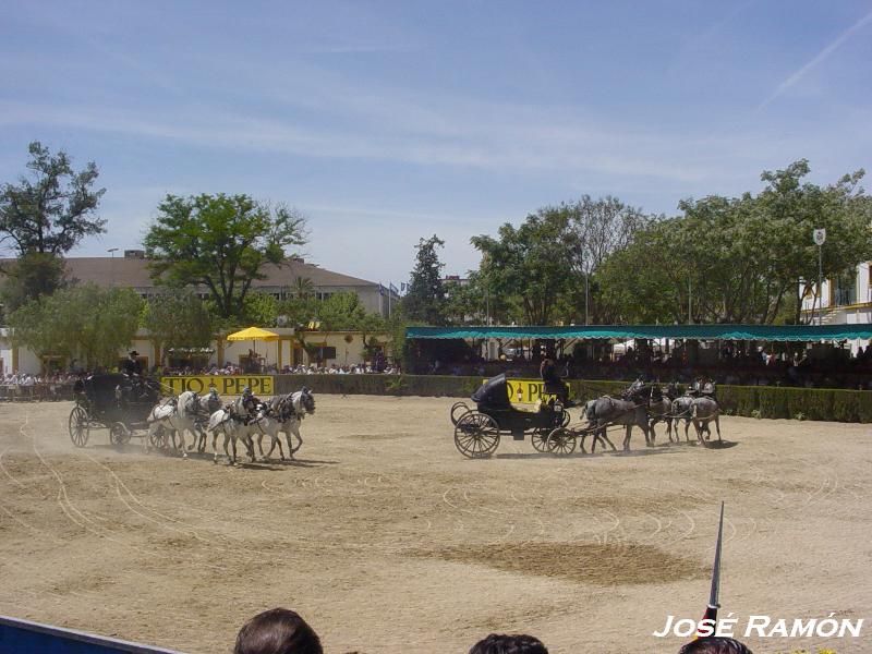 Foto de Jerez  de la Frontera (Cádiz), España