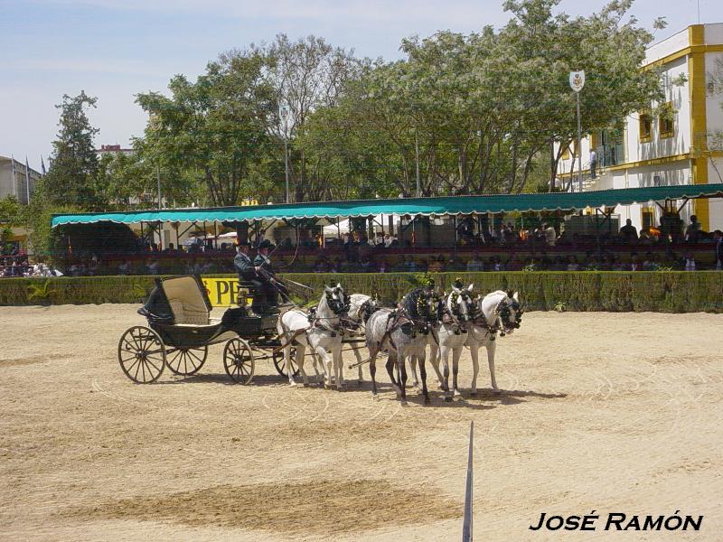 Foto de Jerez  de la Frontera (Cádiz), España