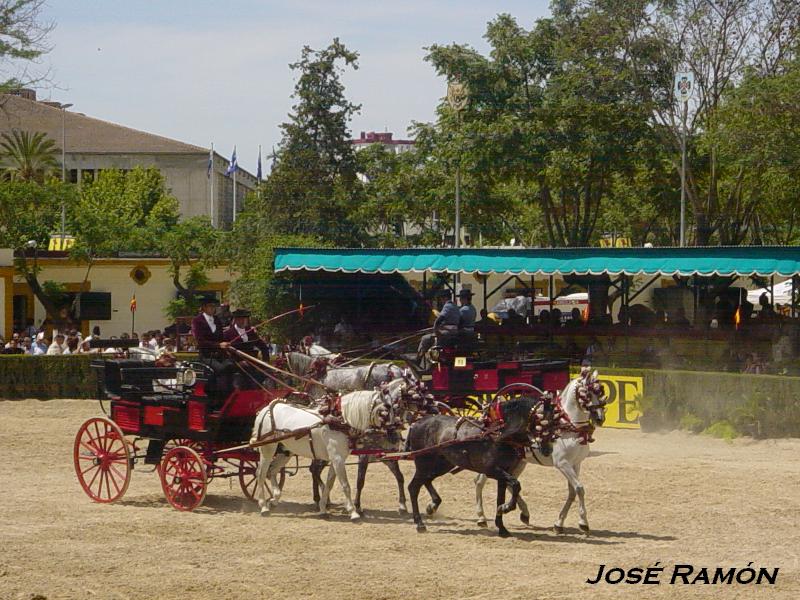 Foto de Jerez  de la Frontera (Cádiz), España