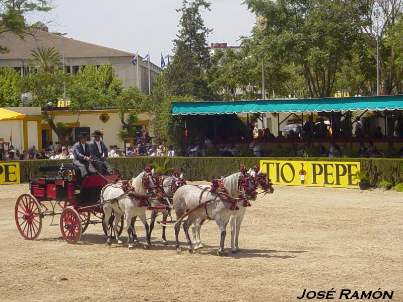 Foto de Jerez  de la Frontera (Cádiz), España