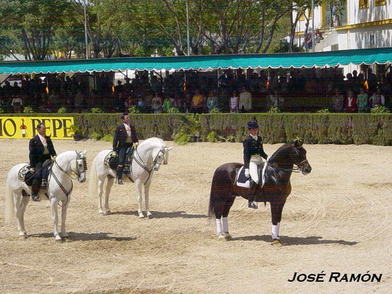 Foto de Jerez  de la Frontera (Cádiz), España