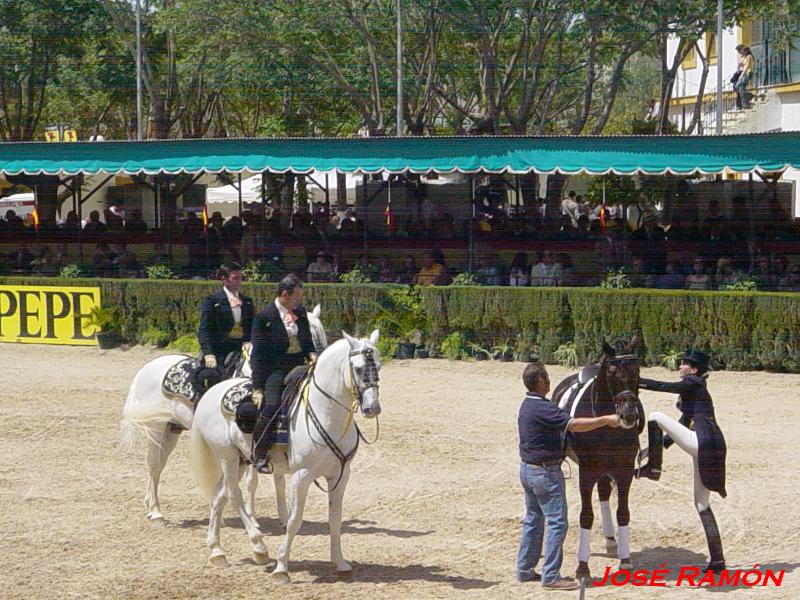 Foto de Jerez  de la Frontera (Cádiz), España