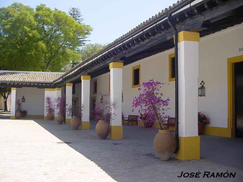 Foto de Jerez  de la Frontera (Cádiz), España