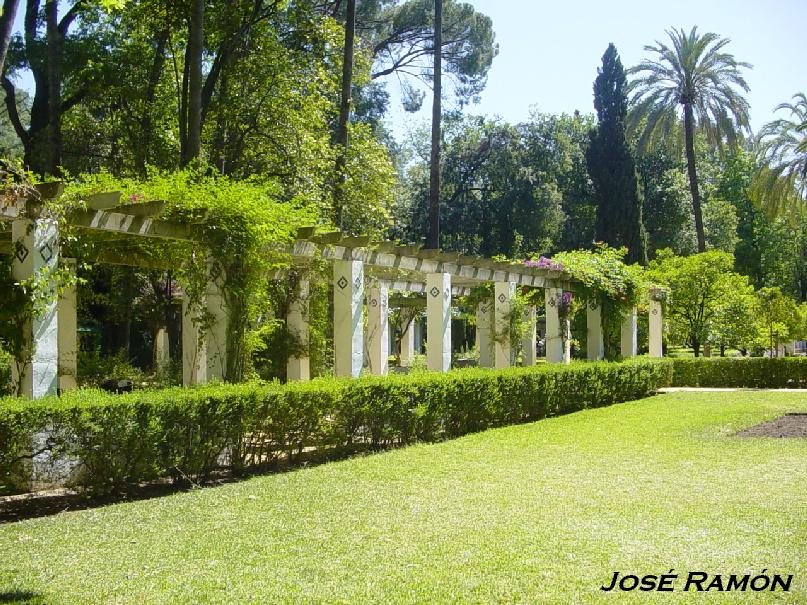 Foto de Sevilla (Andalucía), España