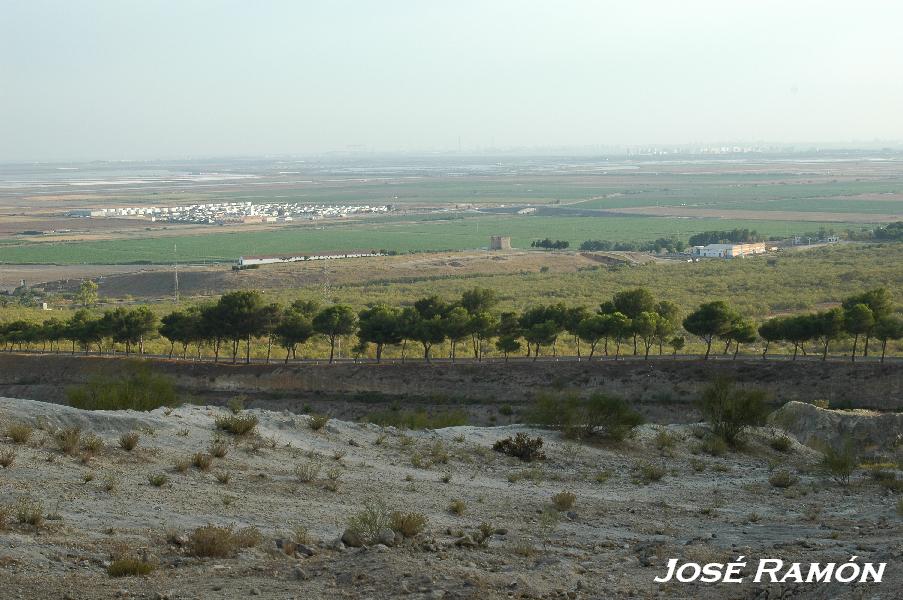 Foto de Jerez de la Frontera (Cádiz), España