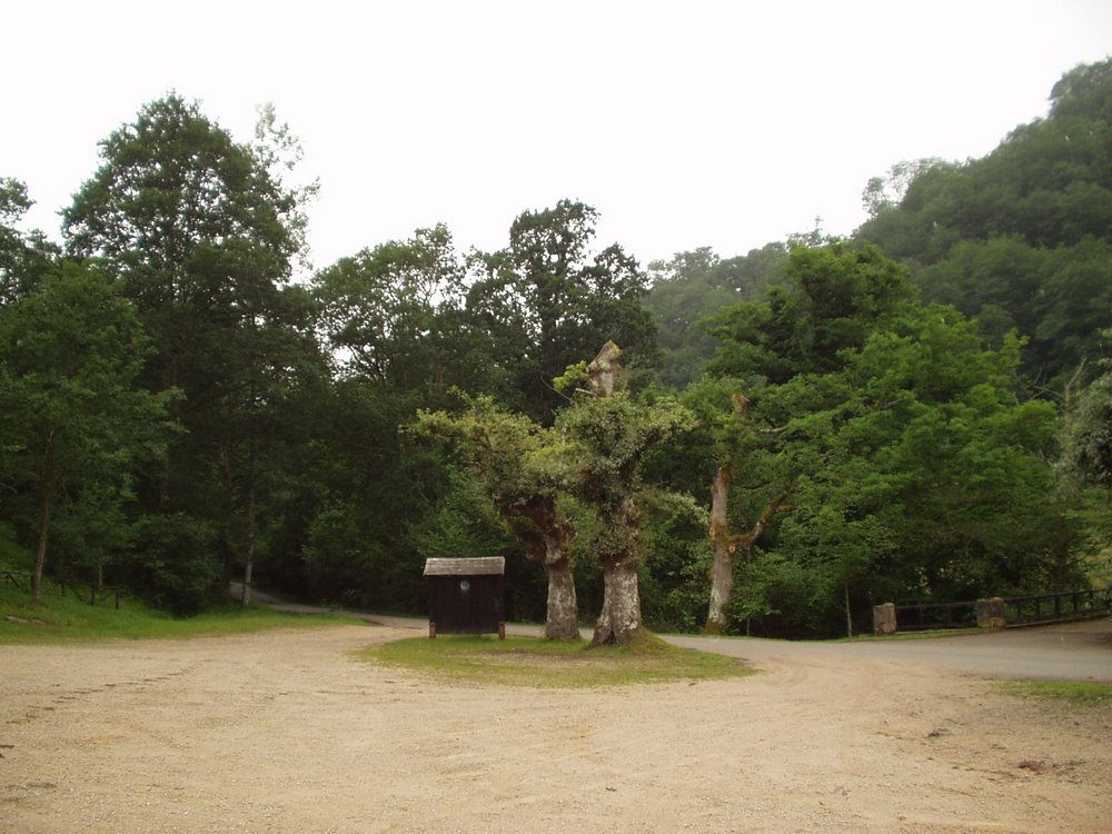 Foto de Parque Natural Saja-Nansa (Cantabria), España