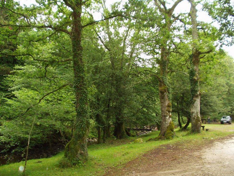 Foto de Parque Natural Saja-Nansa (Cantabria), España