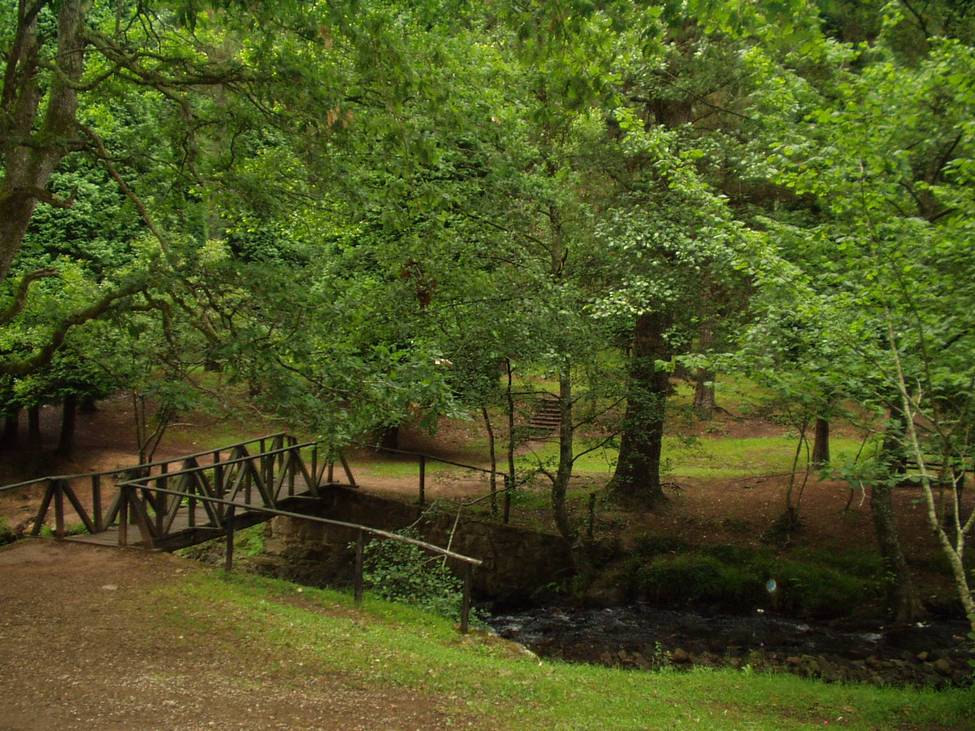 Foto de Parque Natural Saja-Nansa (Cantabria), España