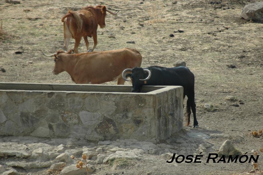 Foto de San José del Valle (Cádiz), España