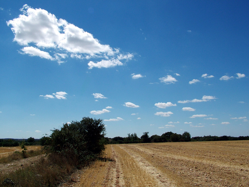 Foto de Valdeavellano (Guadalajara), España