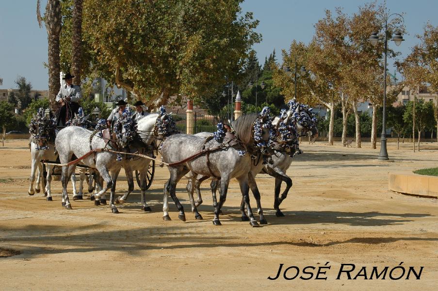 Foto de Jerez  de la Frontera (Cádiz), España