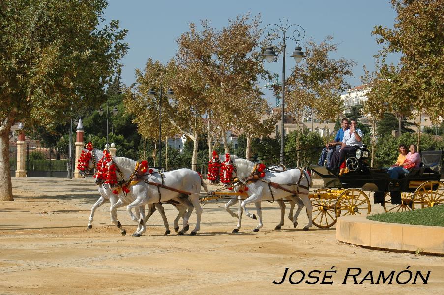 Foto de Jerez  de la Frontera (Cádiz), España