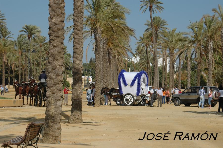 Foto de Jerez  de la Frontera (Cádiz), España