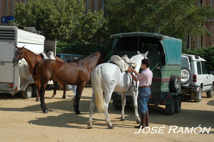 Foto de Jerez  de la Frontera (Cádiz), España