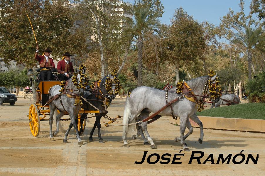 Foto de Jerez  de la Frontera (Cádiz), España