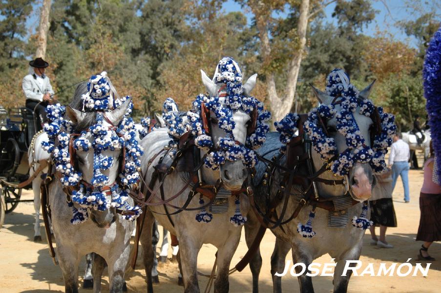 Foto de Jerez  de la Frontera (Cádiz), España