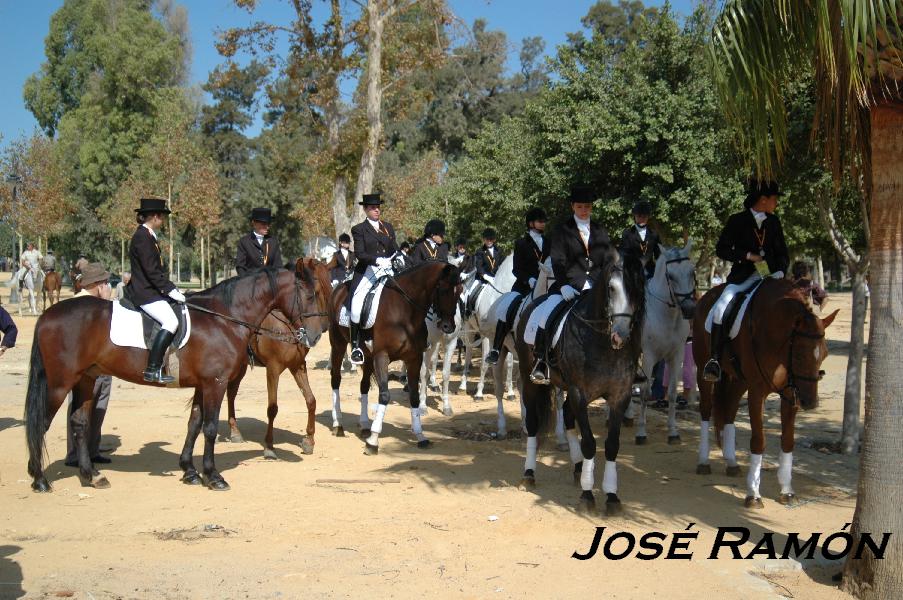 Foto de Jerez  de la Frontera (Cádiz), España