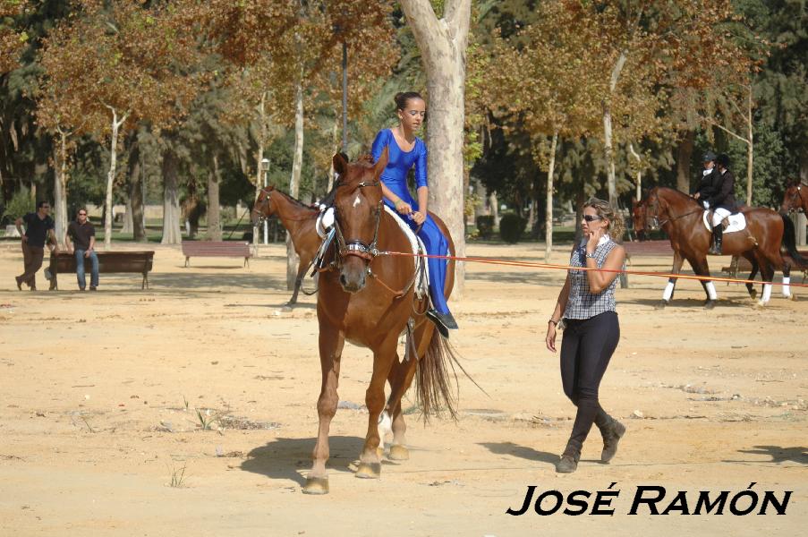 Foto de Jerez  de la Frontera (Cádiz), España