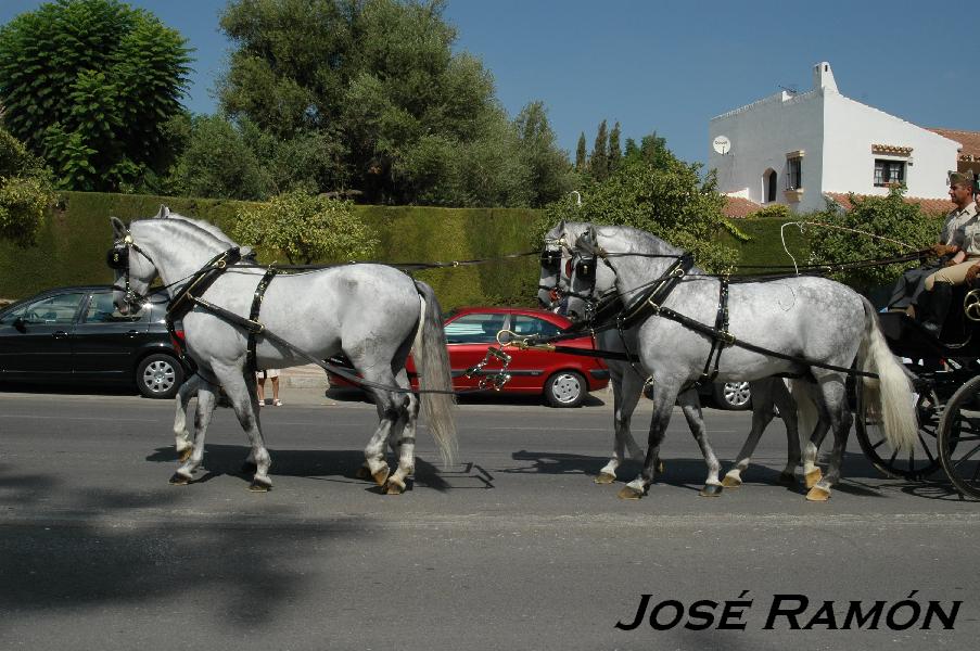 Foto de Jerez  de la Frontera (Cádiz), España