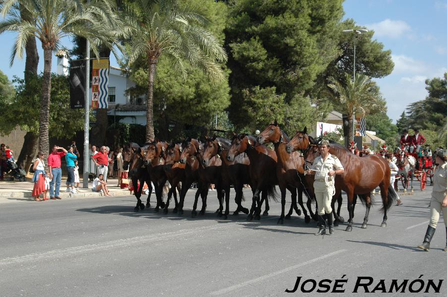 Foto de Jerez  de la Frontera (Cádiz), España