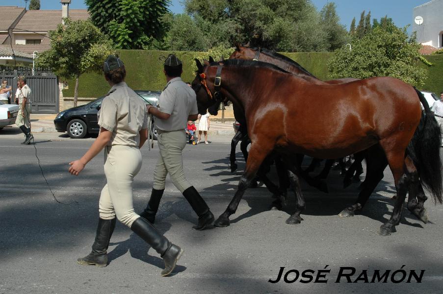 Foto de Jerez  de la Frontera (Cádiz), España