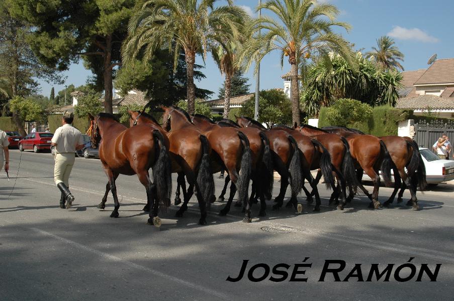 Foto de Jerez  de la Frontera (Cádiz), España